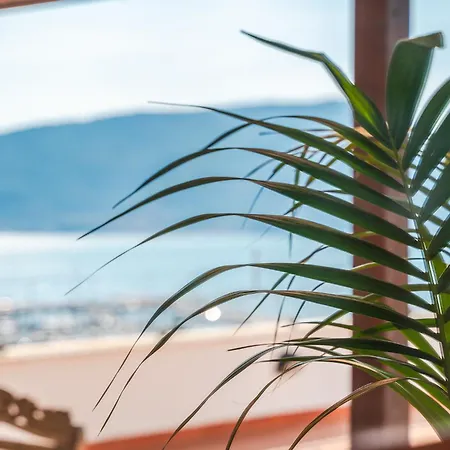 Il Teatro Sul Mare, Terrazza Panoramica, Barbecue E Cinema Tra Lerici E Cinque Terre * ラ・スペツィア